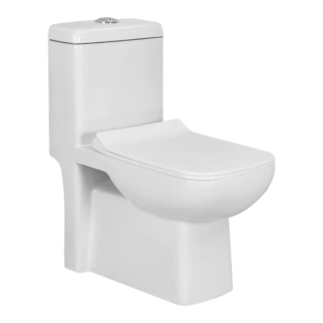 One Piece Closet from the Roca Impex sanitaryware range